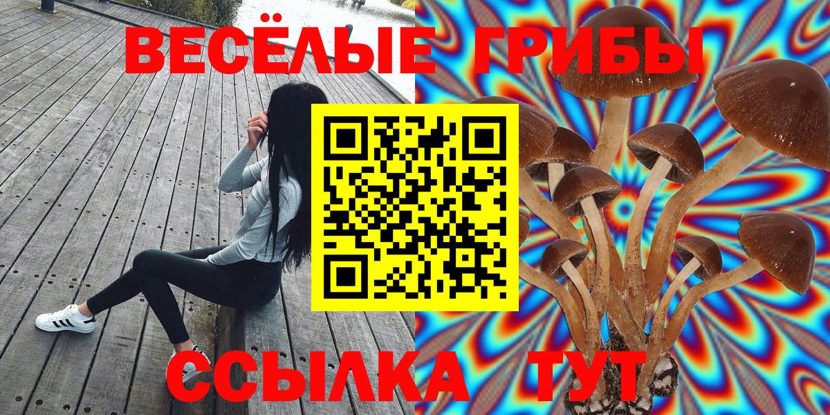 Елабуга  Галлюциногенные грибы ЛСД  Вход с VPN  цены   Псилоцибиновые грибы GOLDEN TEACHER 